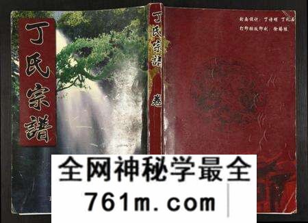 湖北丁氏族谱-丁氏宗谱.pdf电子版