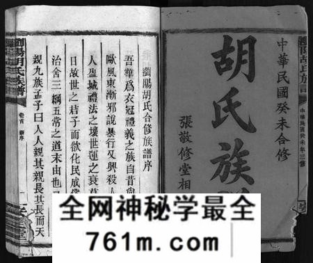 湖南胡氏族谱-胡氏族谱 [10卷,首1卷].pdf电子版