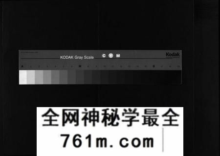 湖南周氏族谱-周氏五修族谱 [43卷].pdf电子版