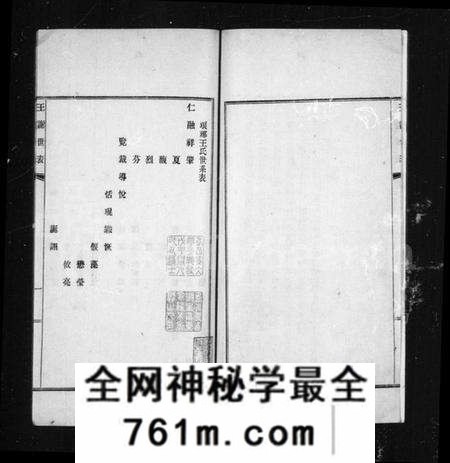 浙江多姓氏族谱-王谢世表.pdf电子版
