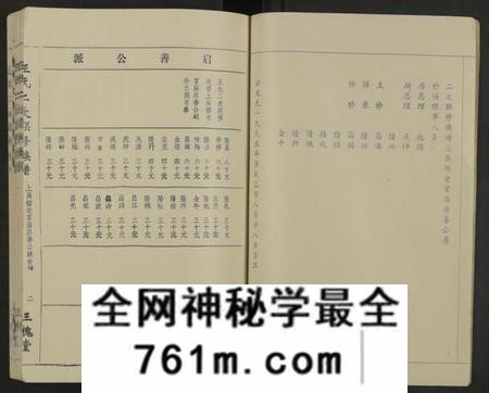 江西王氏族谱-王氏二次联修族谱[不分卷].pdf电子版