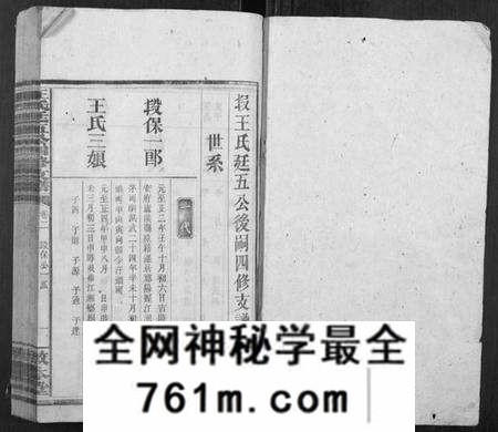 湖南王氏族谱-王氏廷五公四修支谱.pdf电子版