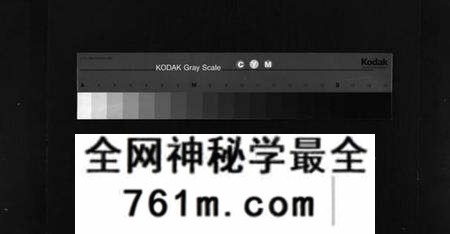 湖北陈氏族谱-义门陈氏宗谱 [16卷,首4卷](别名：陈氏宗谱、Yi Men Chen Shi Zong Pu、义门陈氏宗谱).pdf电子版