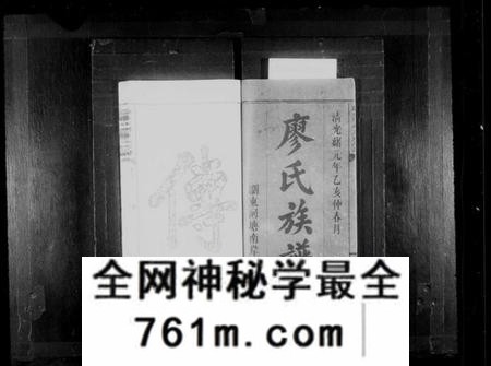 湖南廖氏族谱-廖氏族谱 [10卷,首1卷,牌谱1卷].pdf电子版