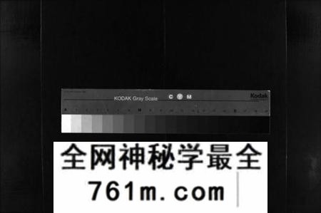 湖南尹氏族谱-尹氏族谱 [各房分卷,首9卷].pdf电子版