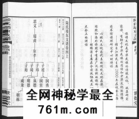江苏陆氏族谱-陆氏墙东支谱 [残卷](别名：墙东类稿、澄江陆氏墙东支谱).pdf电子版