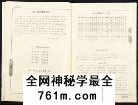 江西王氏族谱-王氏玠公族谱 [8册].pdf电子版
