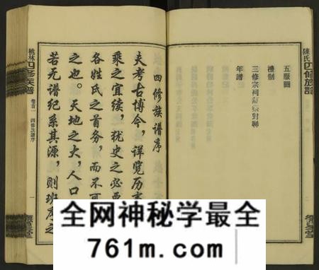 湖南陈氏族谱-桃林陈氏四修族谱 [残卷].pdf电子版