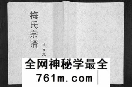 湖北梅氏族谱-梅氏大成宗谱[16卷首2卷].pdf电子版