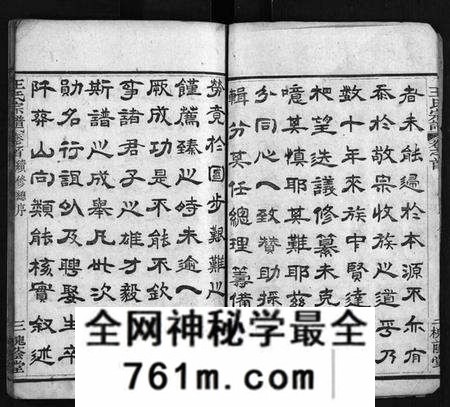 湖北王氏族谱-王氏宗谱 [8卷,首3卷](别名：Wang Shi Zong Pu).pdf电子版
