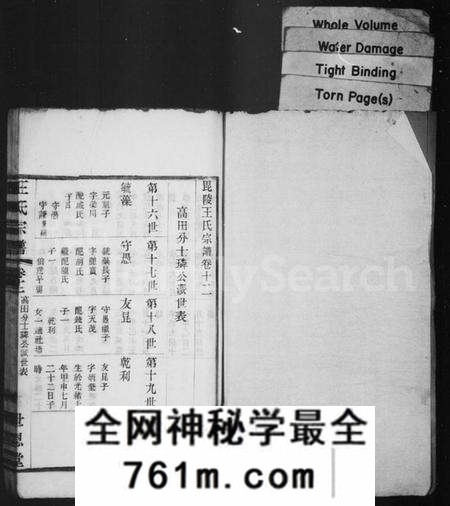 江苏王氏族谱-毘陵王氏宗谱(别名:王氏宗谱).pdf电子版