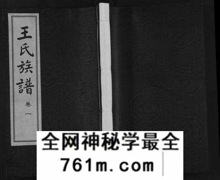江苏王氏族谱-王氏族谱[8卷](别名：Wang Shi Zu Pu).pdf电子版