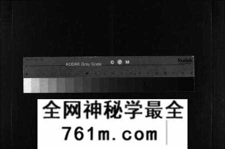湖北高氏族谱-高氏家谱 [10卷,首2卷](别名：Gao Shi Jiapu).pdf电子版