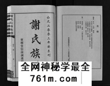 湖南谢氏族谱-谢氏七修族谱 [39卷,首1卷].pdf电子版