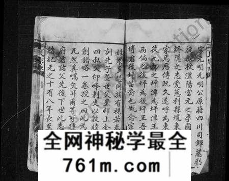 湖南王氏族谱-王氏家乘 [10卷,首1卷].pdf电子版