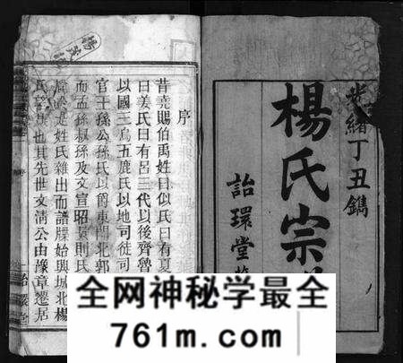 湖北杨氏族谱-杨氏宗谱[18卷](别名：Yang Shi Zong Pu、大栗杨氏宗谱、杨氏宗谱).pdf电子版