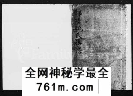 湖南姚氏族谱-邵陵姚氏族谱 [20卷,首末各1卷].pdf电子版