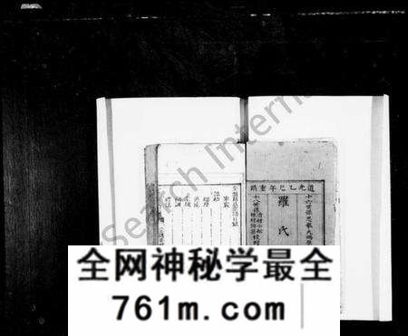 四川罗氏族谱-罗氏家谱(别名:罗氏宗谱、金盘罗氏宗谱).pdf电子版