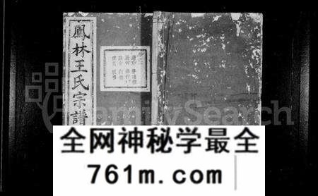 浙江王氏族谱-凤林王氏宗谱 [10卷].pdf电子版