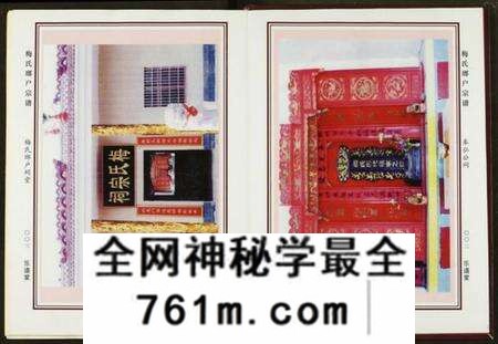 湖北梅氏族谱-梅氏琅户宗谱.pdf电子版