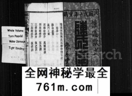 湖北陈氏族谱-陈氏宗谱 [17卷,首2卷](别名：鄂城义阳陈氏四修宗谱).pdf电子版