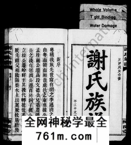 湖南谢氏族谱-谢氏族谱 [17卷,首2卷].pdf电子版
