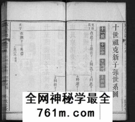 湖北卢氏族谱-卢氏宗谱 [11卷,首1卷](别名：Lu Shi Zong Pu).pdf电子版