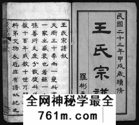 湖北王氏族谱-王氏宗谱[13卷,首3卷](别名：Wong Shi Zu Pu).pdf电子版