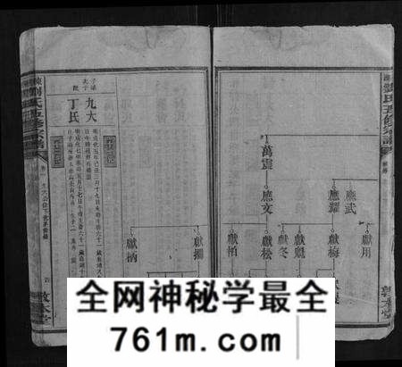 湖南刘氏族谱-东湖刘氏五修族谱.pdf电子版