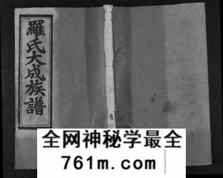 江西罗氏族谱-罗氏大成族谱[8卷首1卷].pdf电子版