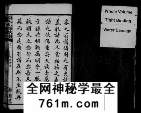 湖南黎氏族谱-黎氏九修族谱 [14卷].pdf电子版