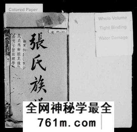 湖南张氏族谱-张氏族谱 [27卷].pdf电子版