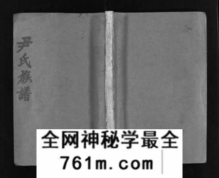 湖南尹氏族谱-尹氏族谱 [各房分卷,首9卷].pdf电子版