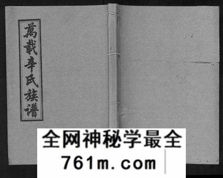 江西辛氏族谱-万载辛氏族谱 [按房分卷, 总卷2册, 长房谱44册, 次房谱1册, 幼房18册].pdf电子版