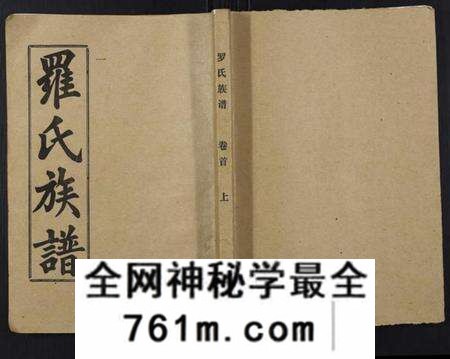湖北罗氏族谱-罗氏族谱[18卷首2卷附1卷].pdf电子版
