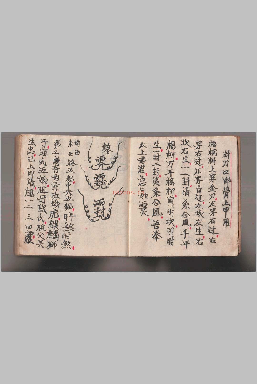 《灵仙神》水师自记