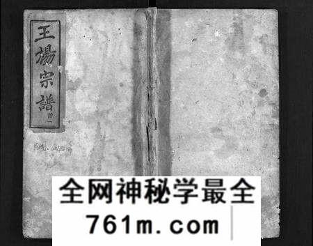 湖北王氏杨氏族谱-王杨宗谱 [8卷,首2卷](别名：王杨氏二次续修宗谱、Wang Yang Zong Pu、王杨宗谱).pdf电子版