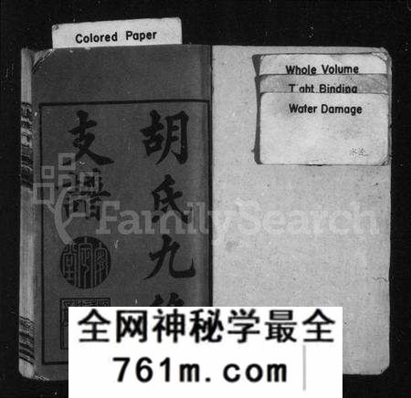 湖南胡氏族谱-胡氏九修支谱 [8卷,及卷首末].pdf电子版