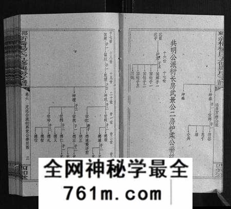 湖南杨氏族谱-新桥杨氏五修兴房支谱[16卷首末各1卷].pdf电子版