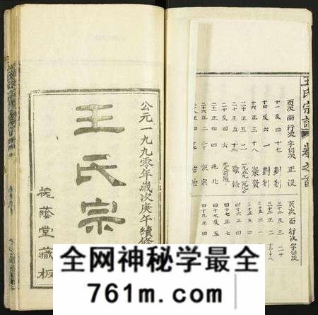 湖北王氏族谱-王氏宗谱.pdf电子版