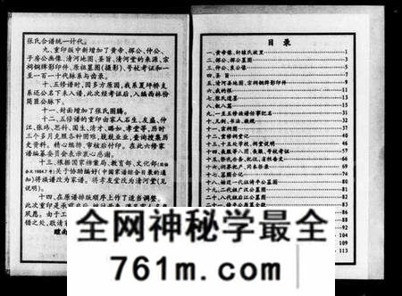 湖南张氏族谱-醴南楚东桥张氏家谱.pdf电子版