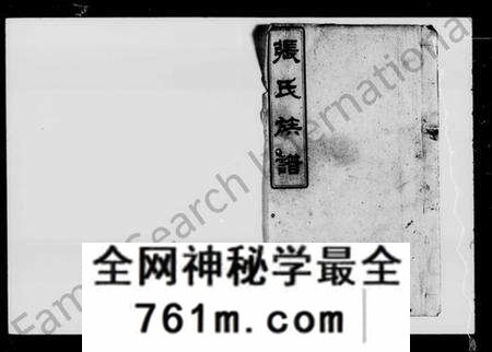 湖南张氏族谱-张氏族谱 [32卷,首3卷].pdf电子版