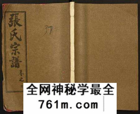 湖北张氏族谱-张氏宗谱.pdf电子版