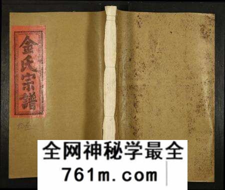 江西金氏族谱-上坪金氏九修族谱.pdf电子版