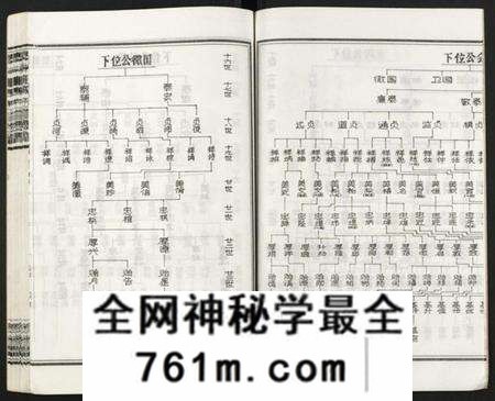 湖南王氏族谱-皮林王氏五修族谱 [26卷].pdf电子版