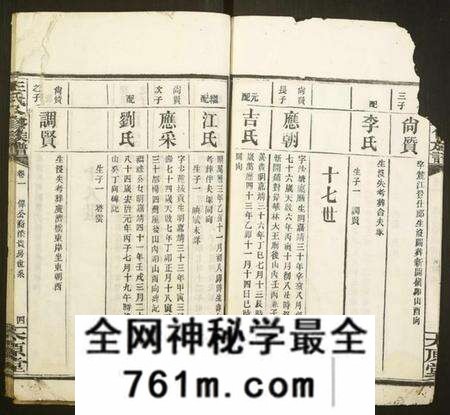 湖南王氏族谱-王氏八修族谱.pdf电子版