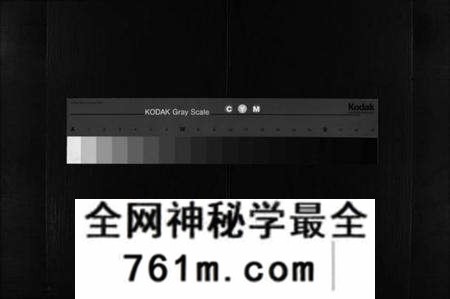 浙江陈氏族谱-观岩陈氏宗谱 [10卷].pdf电子版