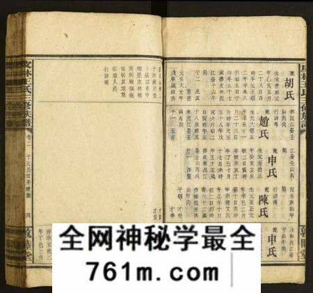 湖南王氏族谱-皮林王氏三修族谱.pdf电子版