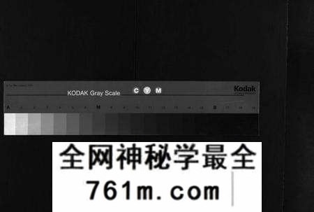 湖北李氏族谱-李氏宗谱[10卷,首1卷](别名：Li Shi Zong Pu).pdf电子版