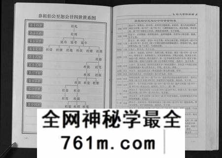 江西杜氏族谱-杜氏重修族谱[不分卷].pdf电子版